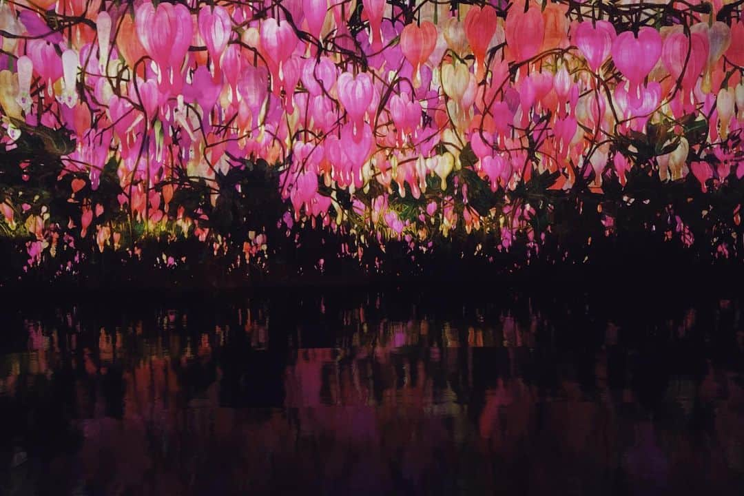 クォン・ウンビンさんのインスタグラム写真 - (クォン・ウンビンInstagram)「#teamlab #팀랩라이프」2月4日 16時20分 - superb_ean