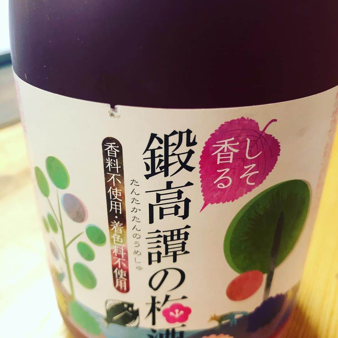 とろ函　守山店のインスタグラム：「変わった梅酒も置いてますよ！ スッキリした味です！ 鍛高譚梅酒🍃 本日こちらの投稿画面表示で鍛高譚梅酒100円！！ #とろ函 #とろ函守山店 #とろ函堅田店 #とろ函膳所店 #とろ函ハイボール #梅酒 #鍛高譚 #鍛高譚の梅酒」