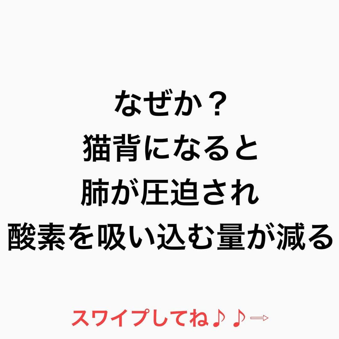 鶴谷和俊さんのインスタグラム写真 - (鶴谷和俊Instagram)「【姿勢】が悪いと髪の毛が 抜ける？白髪ができる？  僕個人的には ■抜ける‼︎ ■白髪が増える可能性がある と思います。  猫背になると 肺が圧迫され 酸素を吸い込む量が減る‼︎  その結果 血流が悪くなる‼︎  さらに 肩凝り、首凝りにつながる‼︎  首や肩がこると 頭皮の血流も悪くなる‼︎  頭皮の血流が悪くなると 髪の毛を 作る部分、色を作る部分 の機能が低下する  髪の毛は ヘアケアや ヘッドマッサージだけではなく  体の姿勢を 意識して みてくださいね♪♪  髪の毛の学校/鶴谷和俊  ＃薄毛 #抜け毛 #白髪 #髪の毛の学校#髪学校#髪の毛のお悩み#ヘアケア#ホームケア #髪質改善#髪の毛#髪質#トリートメント#洗い流さないトリートメント#シャンプー #ヘアアイロン #コテ #ストレートアイロン #くせ毛#癖毛#くせ毛対策#細毛#薄毛#軟毛 #剛毛#多毛#髪の毛サラサラ#髪ボサボサ #髪の毛ボサボサ #hardiEast #鶴谷和俊」2月4日 17時14分 - tsurutani_k