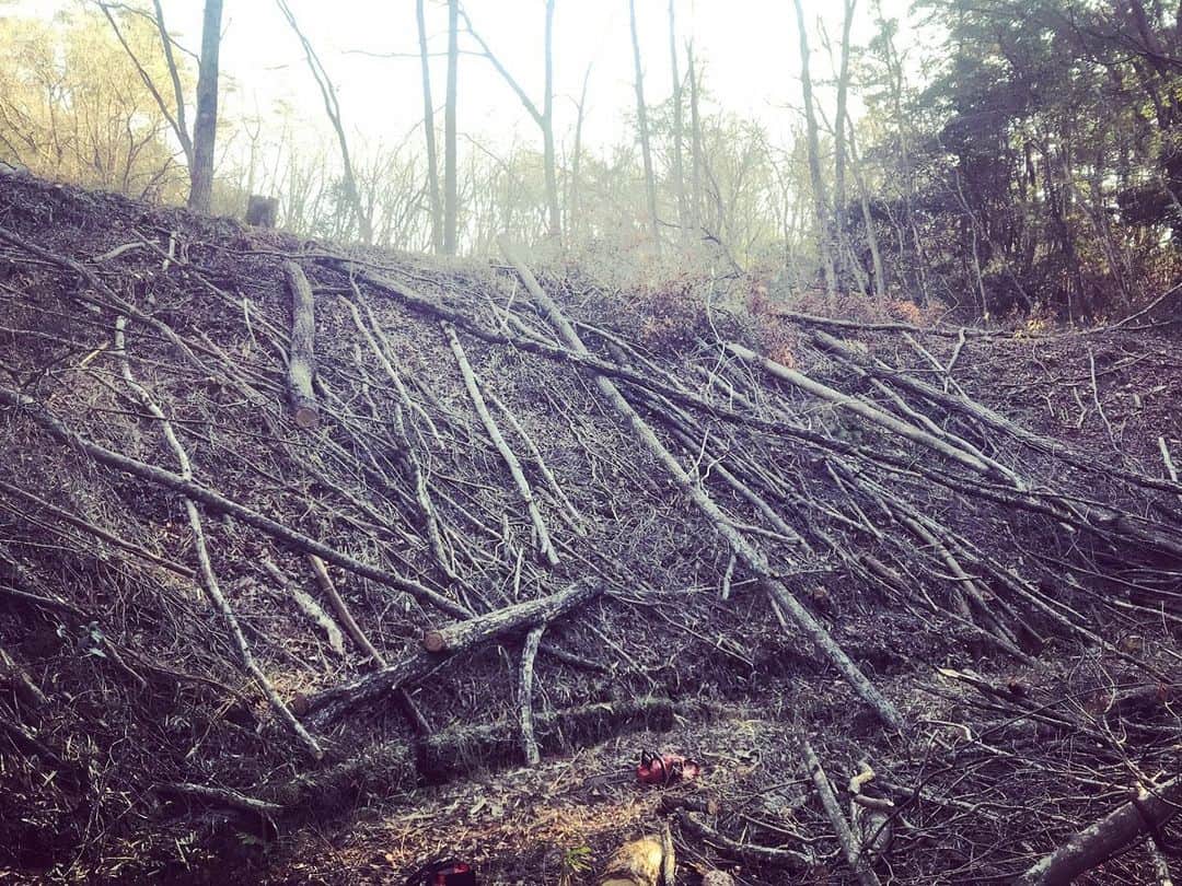 三宅洋平さんのインスタグラム写真 - (三宅洋平Instagram)「86歳現役に近所の古池の淵を間伐したから薪や椎茸原木に持って行って良いよ、と。爺さんたち大きいのはよう持っていかんから大きいのから頼むわ、と。斜面で危険度Aだが良質の薪木が来年分まで手に入るのはありがたい🎯🎯🎯宝の山。」2月4日 17時22分 - miyake_yohei