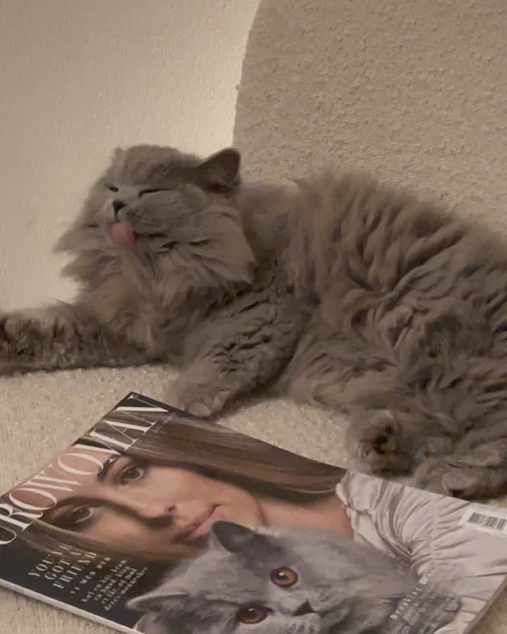 Mathilde Goehlerのインスタグラム：「High maintenance 🐈‍⬛🤍」