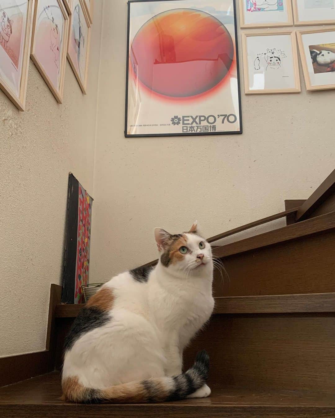 Kachimo Yoshimatsuのインスタグラム