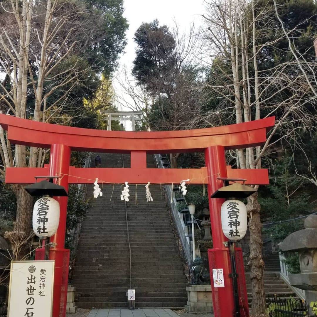 田川寿美さんのインスタグラム写真 - (田川寿美Instagram)「初めての愛宕神社。 有名な[出世の石段]は思った以上に高くて、怖すぎました。  #神社 #神社巡り #愛宕神社 #神社好き #出世の石段」2月4日 18時28分 - toshimi_tagawa