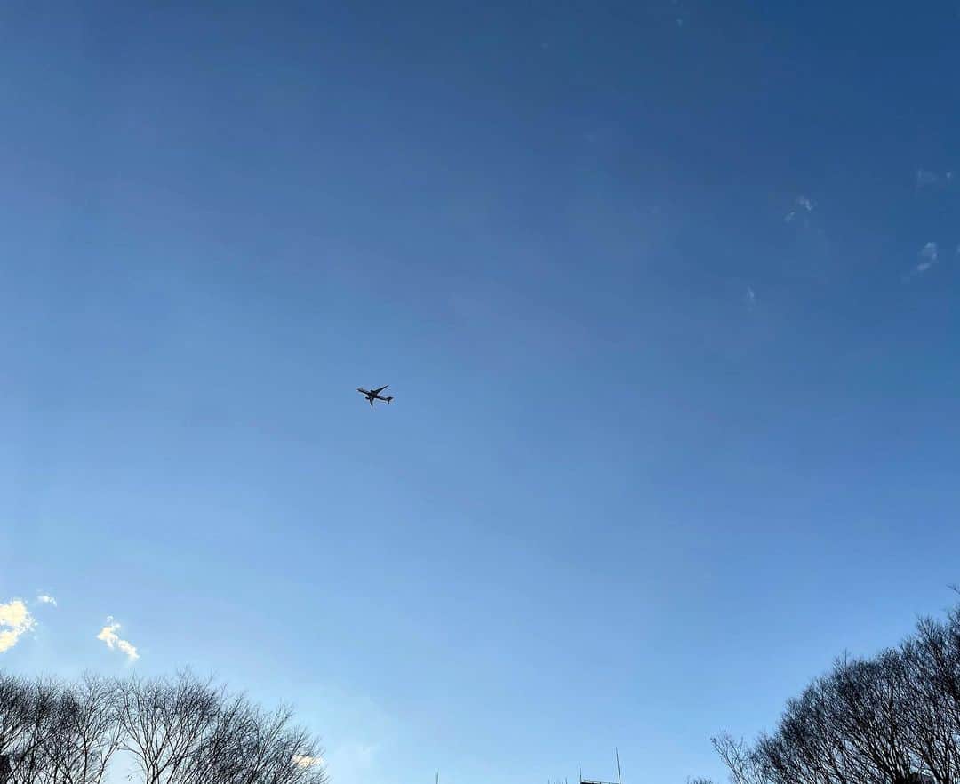 岡峰光舟さんのインスタグラム写真 - (岡峰光舟Instagram)「俺の知ってる中央公園じゃなくなってた！🏃‍♂️」2月4日 18時30分 - kohshuokamine