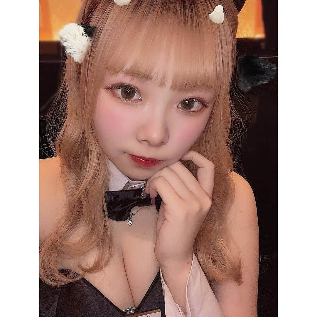 桃谷くるみさんのインスタグラム写真 - (桃谷くるみInstagram)「. うさぎになりつつ牛にもなった🐮💖 (今年が丑年だからってことで) . . . ブログも見てくれると嬉しいなあ👀✨ . . . #オンライン飲み会 #オンライン #オンラインガールズバー #zoom #zoom飲み会 #アミュる #rich #金山 #鶴舞 #名古屋 #東海 #大須商店 #熱田区 #中川区 #アスナル金山 #金山駅 #名駅 #名古屋市中区 #ガールズバー #ポケパラ #バー #BAR #夜 #バニーガール #あみたいつ #ハイレグ #キャバ嬢 #モデル #うさぎ」2月4日 18時43分 - rich_kurumi