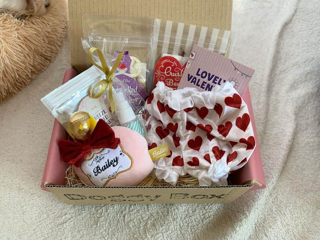 山田菜々さんのインスタグラム写真 - (山田菜々Instagram)「2月の #doggybox が届きました💌  小町にとっては今回が初めてで、おやつの匂いをすぐに嗅ぎ分けていました🍟笑  テーマは【LOVELY VALENTINE】バレンタイン仕様の可愛いおもちゃやおやつがたくさん🍫  愛犬の喜ぶ姿はなによりも幸せ🧸🎈  #doggybox  #ドギボ #pr」2月4日 18時45分 - tannana.yamada