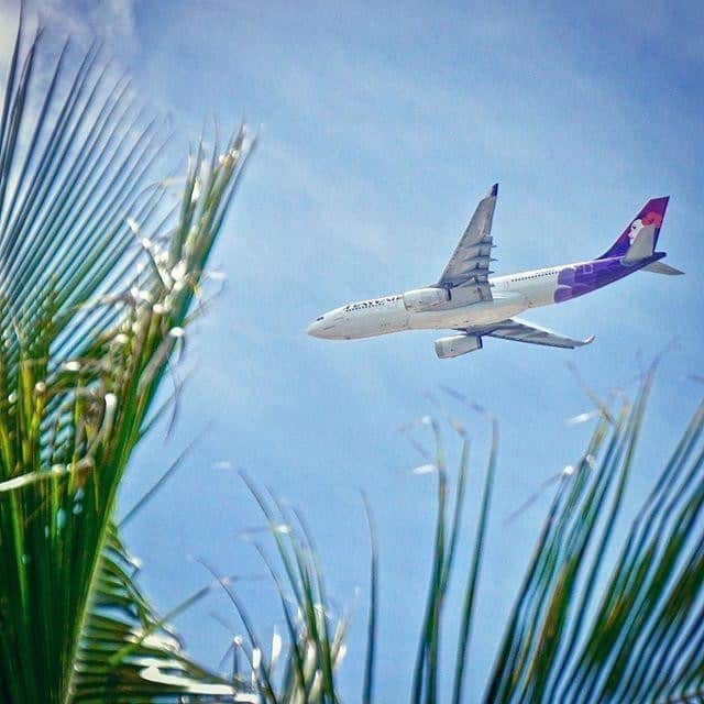 のインスタグラム：「#ハワイアン航空運航 の日本－ハワイ間一部の運休期間の延長が確定いたしました。運休に伴う航空券の特別対応については#ハワイアン航空ウェブサイト にてご確認ください。  ✈#成田便 、#関西便 は本数を減らして運航します。✈  📷: @maspangler_cle  #ハワイアン航空 #ハワイの風景 #ハワイ旅行 #HawaiianAirlines」