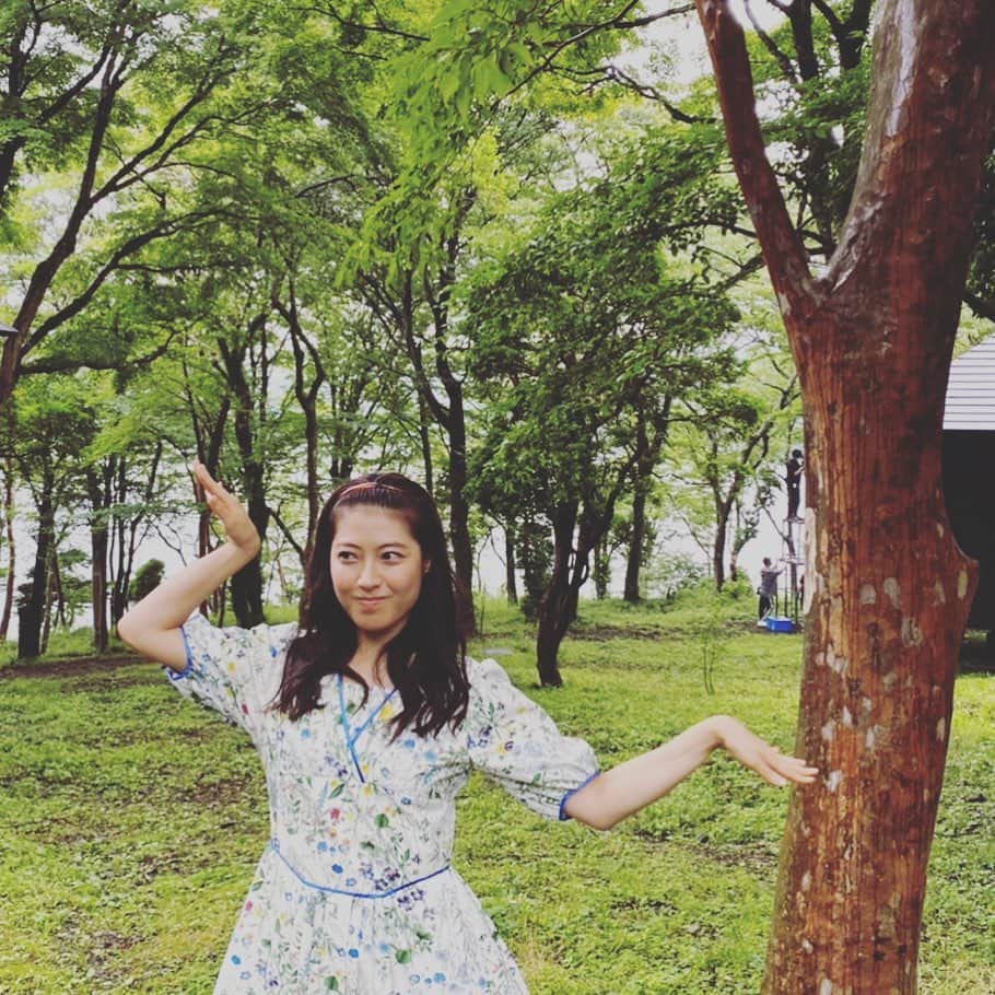瀧本美織のインスタグラム：「☘️ 今夜5話だって！ なかなか会えない方々に会えて 嬉しかった回です。   #ジブリ のような森  #知ってるワイフ  #ポーズなんなんだ」