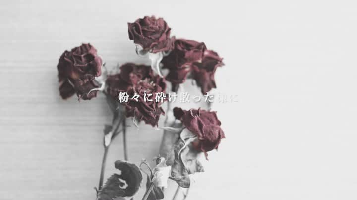 尼丁隆吉のインスタグラム：「「Dry Flower」 #dryflower #ドライフラワー #オリジナル楽曲　#LIFE」