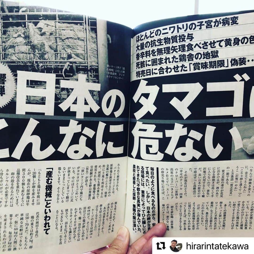 杉本彩のインスタグラム：「* * 高い卵には理由があります。  鶏の生育環境を見れば納得の値段です。  高くても安心で安全で美味しい卵だとわかれば、消費者もその価値がわかります。  そして、安い卵にも安く市場に出せる理由があります。  その理由を知れば、とても食べる気にはなれません。  だから、大量生産している鶏卵農家のその実態を消費者は知るべきです。  吉川元農水省相が鶏卵業界大手のアキタフーズから賄賂を受け取っていたことで、鶏卵業界のアニマルウェルフェアへの取り組みが進まなかった理由がよくわかりました。  「へぇ、酷いね」で決して終わらせず、  安い卵は買わない！！  そうやって消費行動を変えることで、企業が健全化するのだと思います。  アニマルウェルフェアは、動物のためはもちろんですが、私たち消費者のためでもあることを知ってほしいと思います。  「週刊現代」第二弾ぜひお読みください。  アニマルライツセンター @animalrightscenter の理事でもある、落語家の立川平林さんをrepost！  　　　↓↓↓  #Repost @hirarintatekawa with @make_repost ・・・ 週間現代にて、第二弾！卵の実態が６ページにわたり暴かれている。卵は、バタリーケージ、平飼い、放し飼いの、三種の生産方法があるのだが、あなたの食べている、買っている卵は、最悪なバタリーケージでは？  #バタリーケージ反対  #アニマルウェルフェア #ワンヘルス #卵料理」