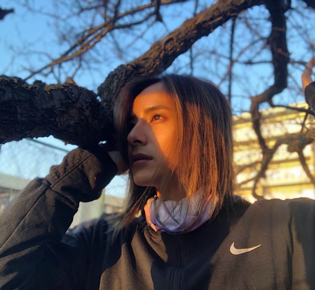 佐野千晃のインスタグラム：「jog中に夕日がめちゃくちゃ綺麗だなーーって思ったから木に携帯引っかけて1人ポートレート📱﻿ ﻿ 写真だけ見たらイケてるやつ。﻿ ﻿ 写真撮ってるとこ見たらヤバいやつ。﻿ ﻿ 笑﻿ ﻿ #run #running #marathon #フルマラソン #マラソン #マラソン女子 #人生自由自在 #走る女子 #ファッション #ウェア #楽しく走る #ランニング #ジョギング #ポートレート #1人ポートレート」