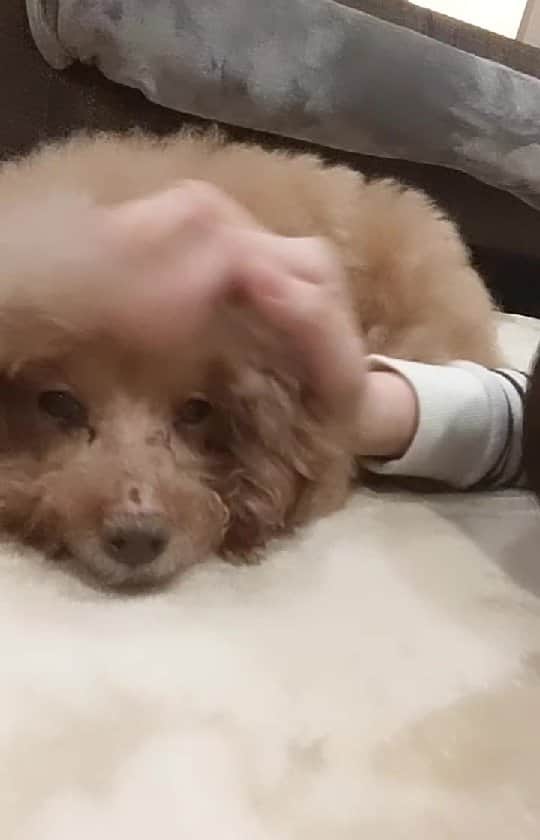 真山景子のインスタグラム：「息子よ。」