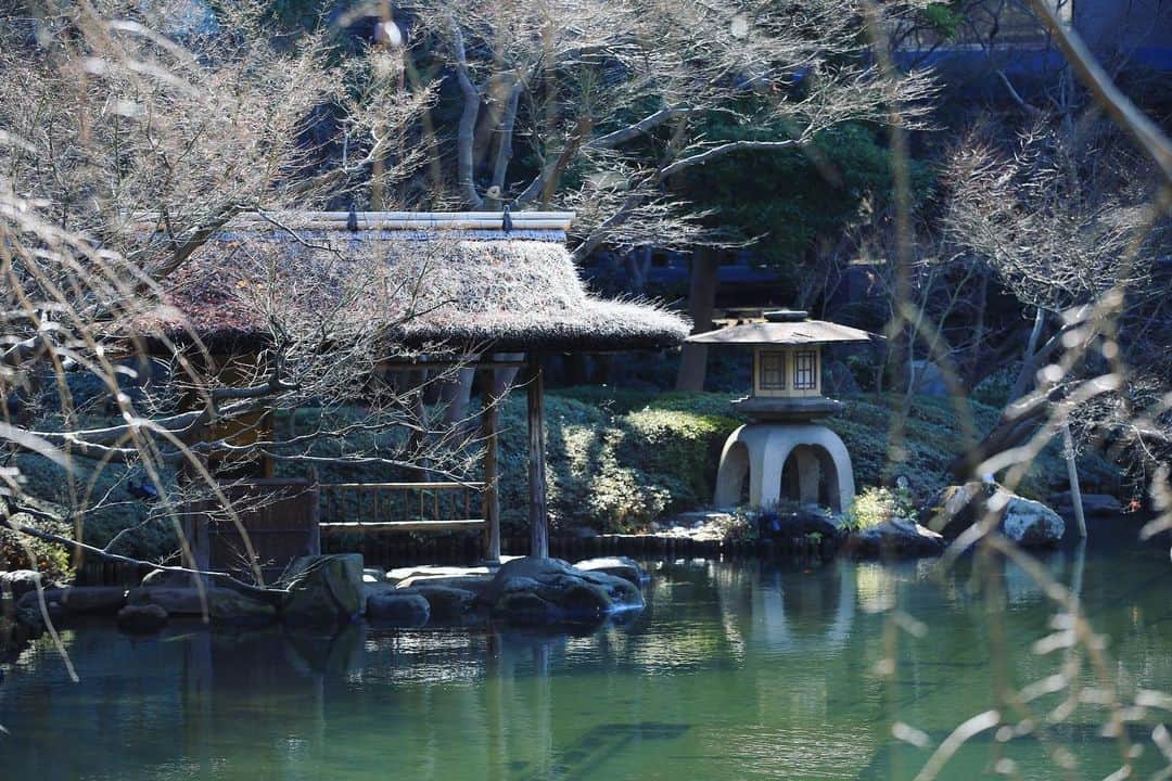 八芳園のグルメインスタ