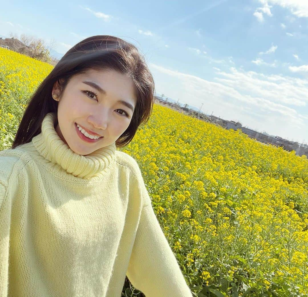 高橋幸さんのインスタグラム写真 - (高橋幸Instagram)「暦の上ではもう春ですね🐝✨ ロケ中にすてきな景色に出会いました！ #kagoshima #spring #flowerpower #菜の花 #指宿 #黄色の絨毯」2月4日 20時49分 - sachitakahashi8