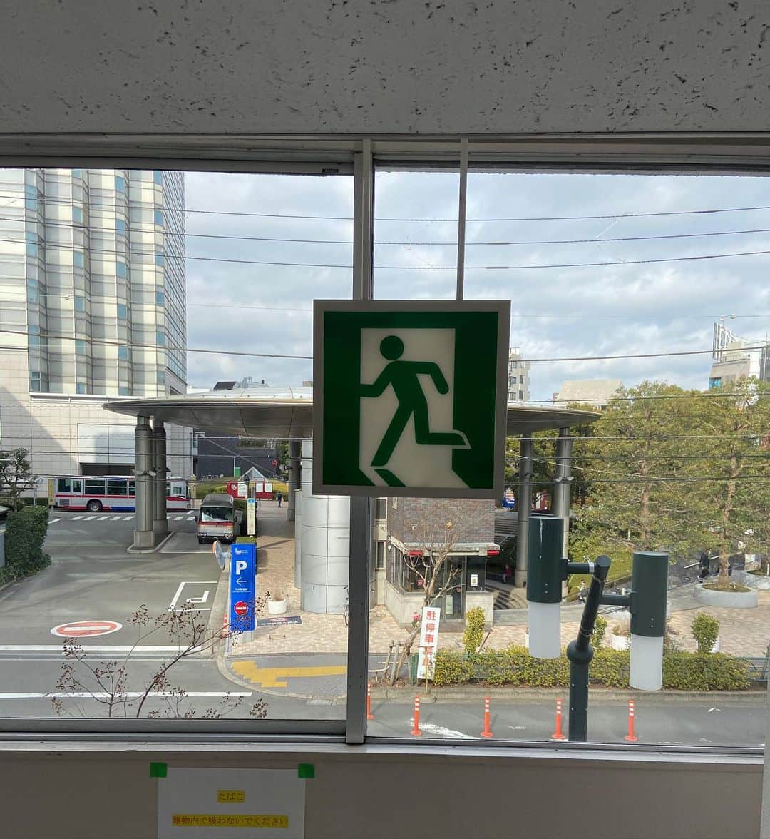 松井ケムリのインスタグラム：「低いしデカいな #避難誘導灯」