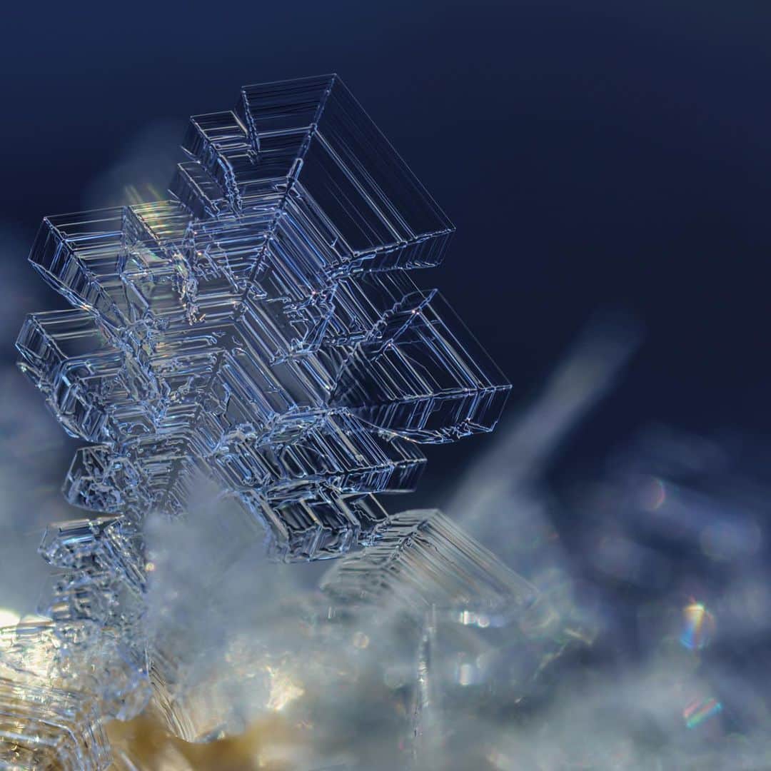 KAGAYAさんのインスタグラム写真 - (KAGAYAInstagram)「結晶で飾られた冬枯れの野。 （以前、北海道にて撮影） 今日もお疲れさまでした。」2月4日 21時15分 - kagaya11949