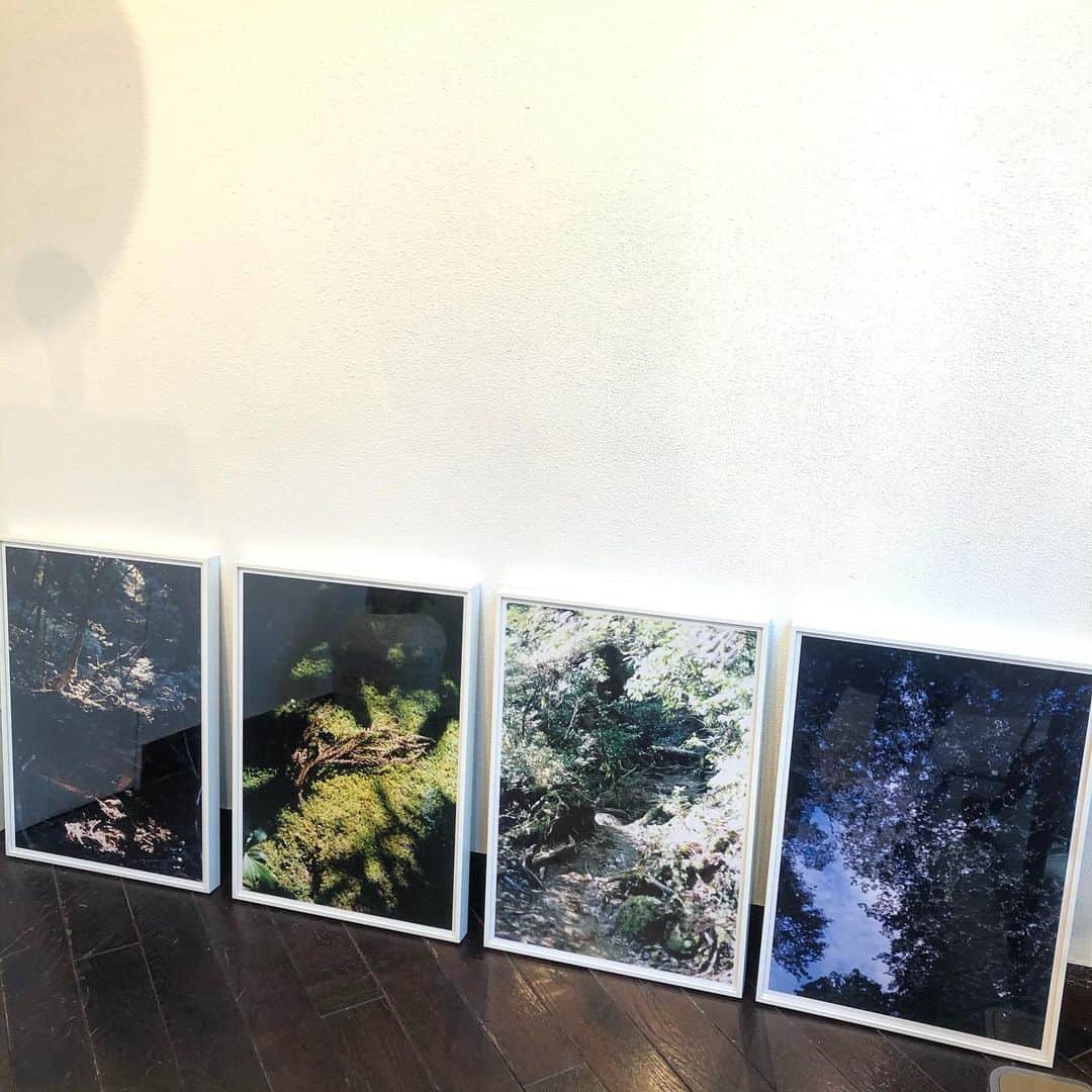 阿部裕介のインスタグラム：「#屋久島」