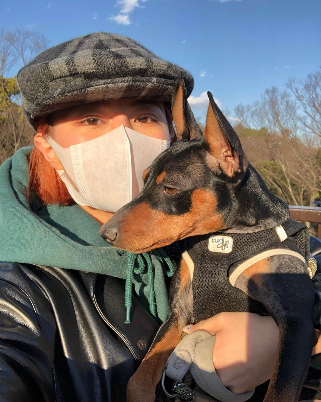 Julia Castroさんのインスタグラム写真 - (Julia CastroInstagram)「BIGになってきた息子と📷🐶🤎  10ヶ月になったジャックのやんちゃさは健在で、むしろパワーを増してるくらい😂 でも、いつかやんちゃだった頃を懐かしむくらい大人しくなっちゃうのかな〜 そう考えるとどんだけやんちゃでも付き合うし、今のジャックの姿を脳に焼き付けておこうって思う🧡  眠くなると甘えてくるジャック君がたまらなく愛おしいです これからもずっと元気でいてね🐶 . #Jackくん #minipin #miniturepinscher  #park #dogstagram  #pinscher #dog #puppy #mybaby #babyboy #sunset #yoyogi #ミニピン #ピンシャー #ミニチュアピンシャー #デカピン #パピー #子犬 #赤ちゃん #10ヶ月 #いぬすたぐらむ #愛犬 #お散歩 #夕陽 #思い出 #もうベッドを壊さないでね」2月4日 22時02分 - julia.c.0209