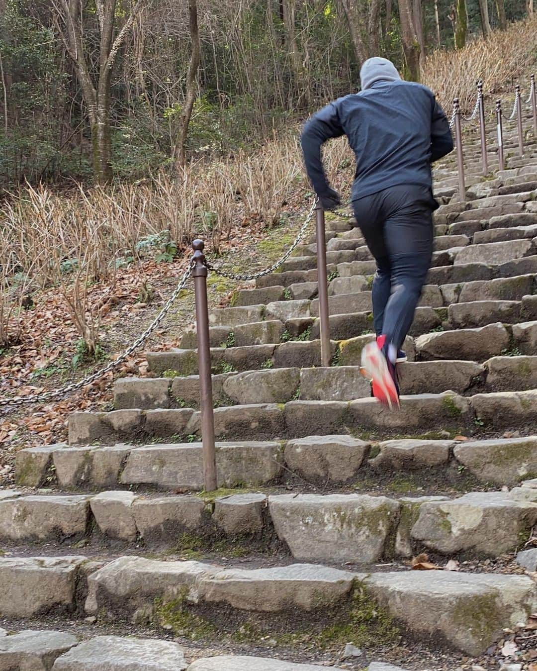 丸山城志郎さんのインスタグラム写真 - (丸山城志郎Instagram)「登って登って登りまくる🏔  #階段ダッシュ」2月4日 22時10分 - joshiromaruyama