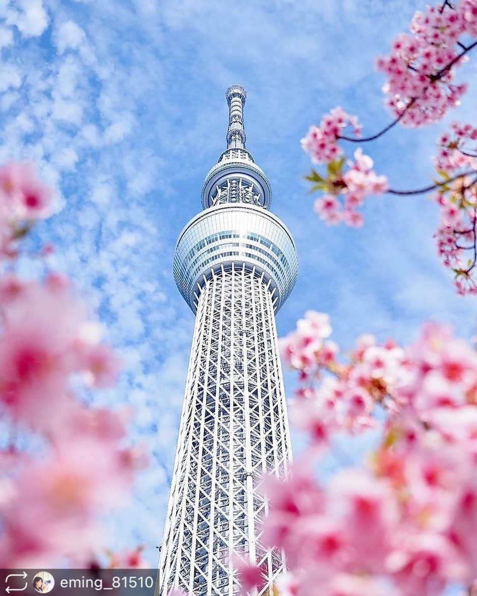 東京カメラガールズのインスタグラム：「. . 今回のフィーチャーは @eming_81510  さんの素敵な1枚👏 ご投稿ありがとうございます！ そして、おめでとうございます✨  これからもお写真の投稿楽しみにしています😊✨ ぜひ皆さんも、#カメラガールズ #東京カメラガールズ をつけて投稿してみてくださいね！ 素敵な写真を見つけ次第、こちらのアカウントでご紹介させていただきます😊 . . . . ＼部員募集／ カメラガールズメンバーになると 楽しいイベントや貴重な体験が 盛りだくさん！ 🖥 www.camera-girls.net カメラガールズ で検索してぜひ部員登録してね！ 登録は無料です(*´ᴗ`*)♪ . . . .」