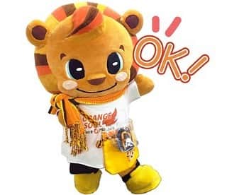 レノファ山口FCのインスタグラム