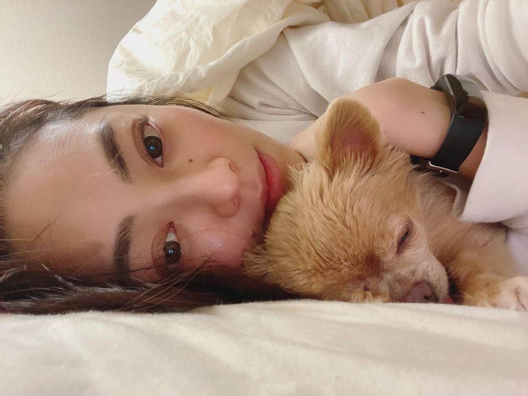 松岡李那のインスタグラム：「Good morning ☀️ Busy busy busy  but I love it💗 Have a nice day✨✨✨ ・ #忙しすぎてみいこがすねてる #毎日12時間労働 #やりがい  #やりがいのある仕事  #忙しくてヘトヘトなのに心は元気 #workingfor12hours #feelrewarding  #loveit  #ilovemydog #chihuahua  #チワワ  #dogstagram」
