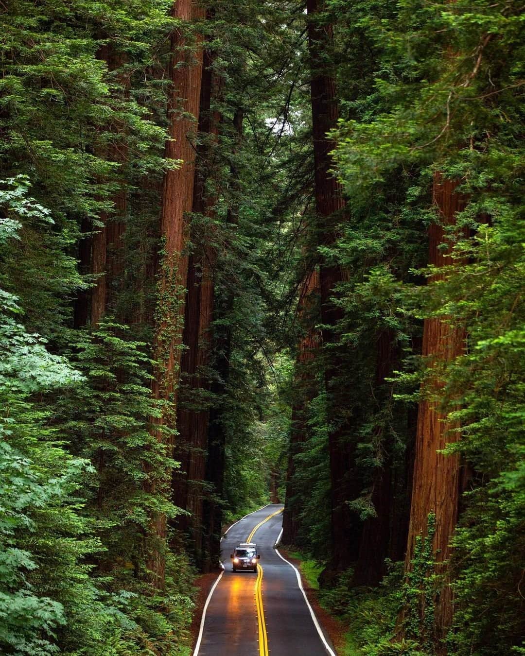 Travel + Leisureさんのインスタグラム写真 - (Travel + LeisureInstagram)「Only a multi-hour haul from big cities like Sacramento and Portland, Oregon, the infamous Redwoods of California certainly live up to the hype. But, a trip to see the world's tallest trees does require a bit of planning, so get our guide to exploring Redwood National Park at the link in bio. #tlpicks courtesy of @nathanleeallen」2月5日 8時30分 - travelandleisure