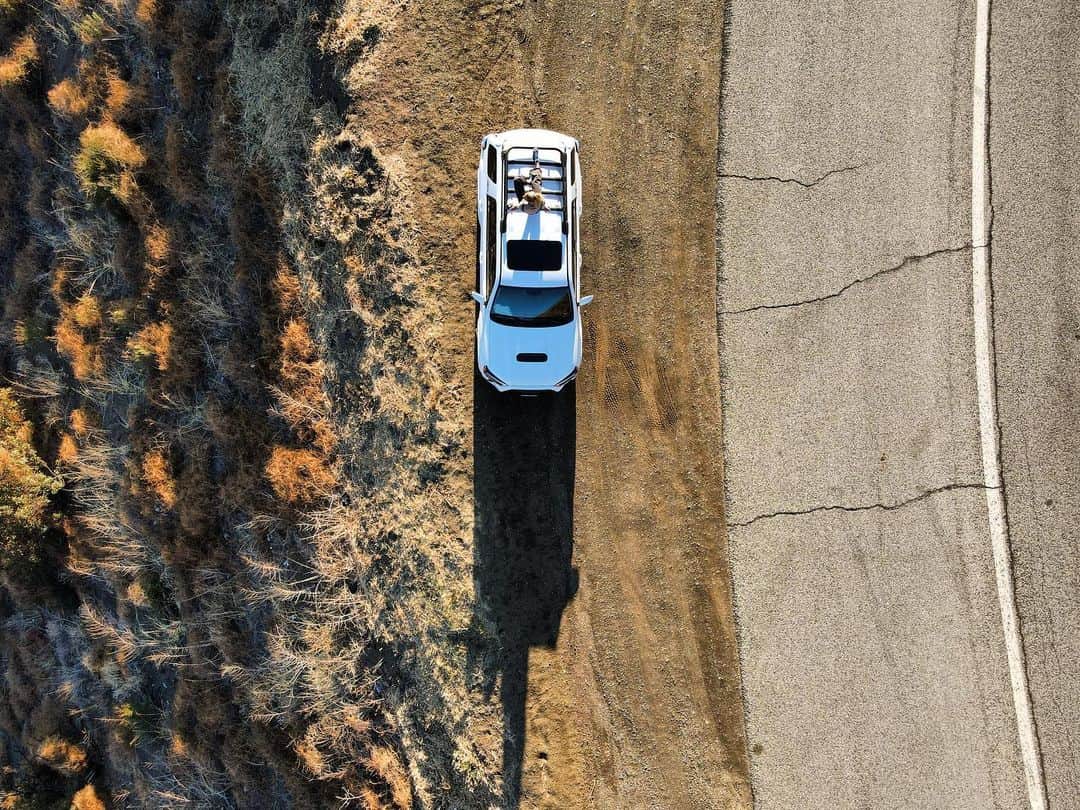 レイキー・ピーターソンのインスタグラム：「Extended breaks between contests at the moment has allowed me to enjoy a few more local 4Runner adventures. This one was up highway 33 the other day with some amazing views from the top. What’s your favourite day trip destination?  • • @teamtoyota #teamtoyota」