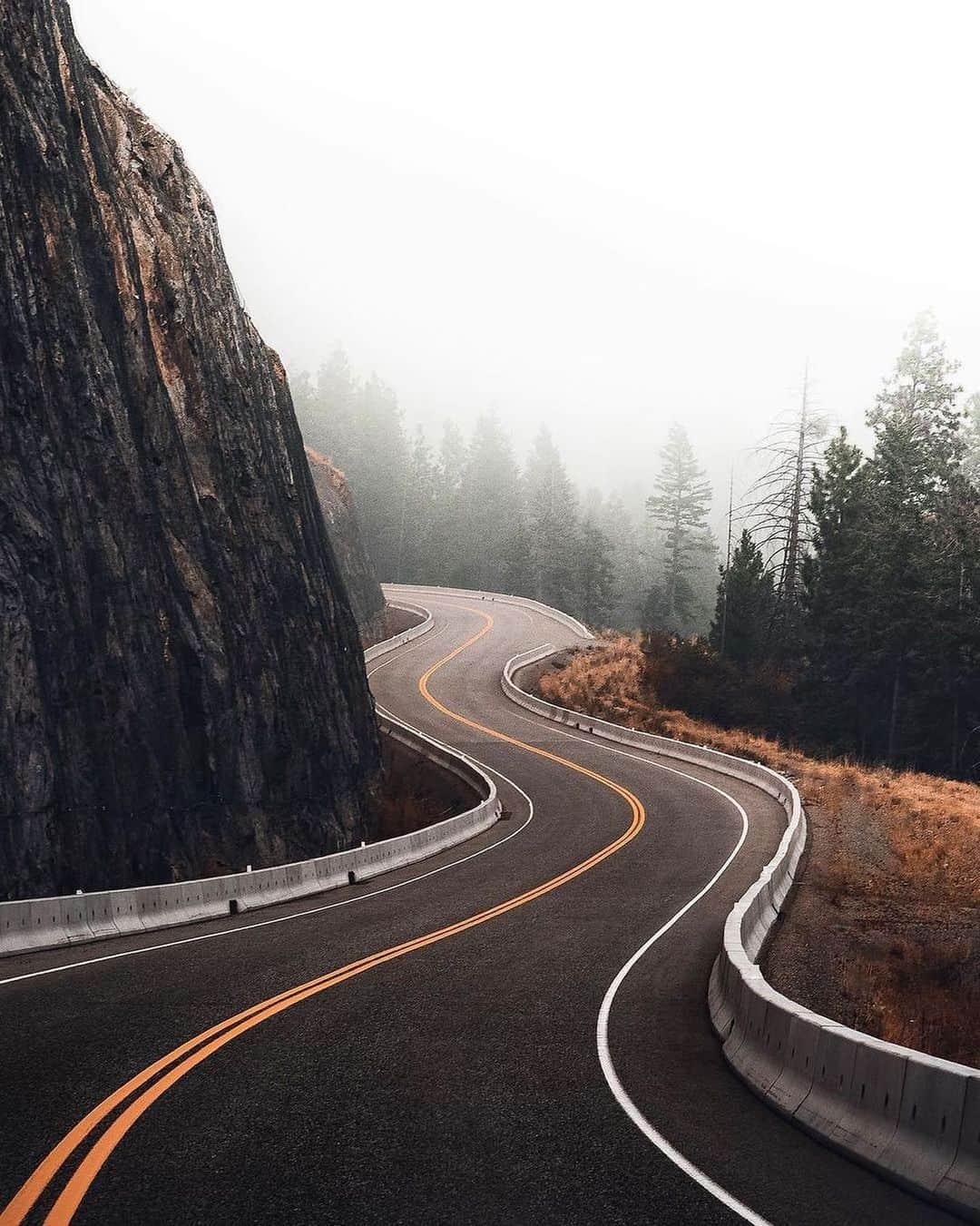 Canon Photographyさんのインスタグラム写真 - (Canon PhotographyInstagram)「Moody Canadian Roads 🇨🇦 Photography // @sergei.turner Curated by @steffeneisenacher  #canada #bc #britishcolumbia #moodyphotography #roadtrip」2月5日 0時28分 - cpcollectives
