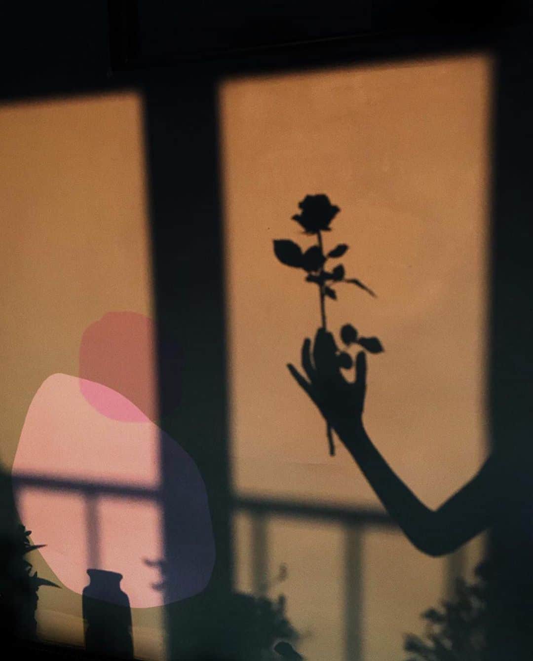 フラヴィア・ルチーニのインスタグラム：「🌹 art by Parisian @ninakoltchitskaia」