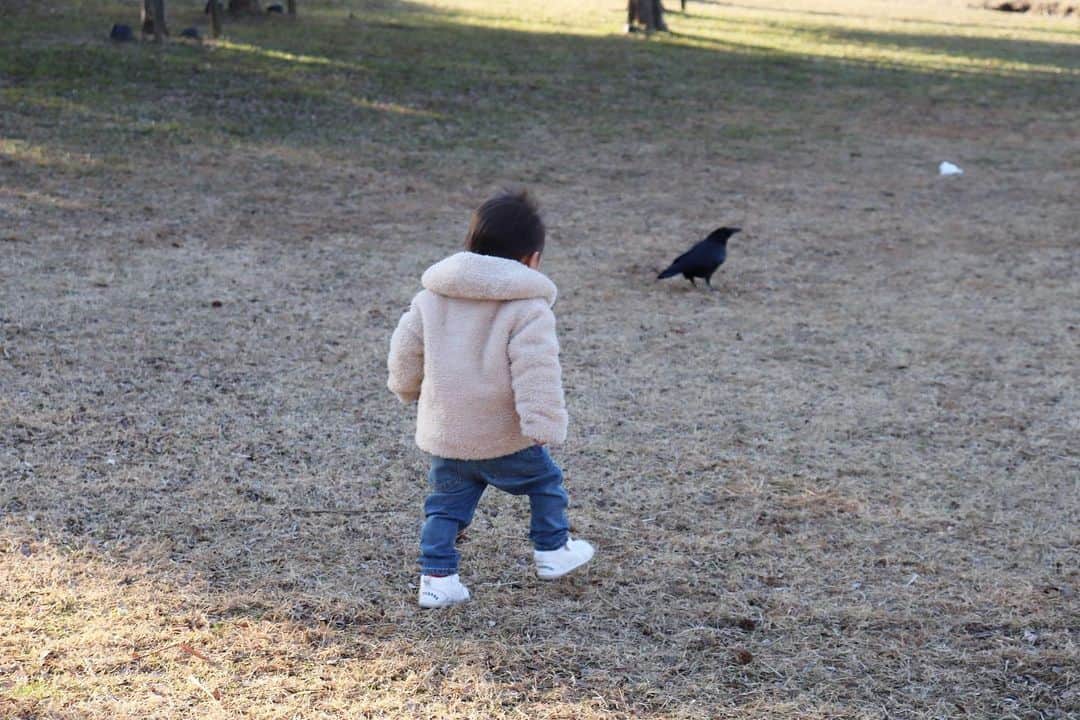 Momoeのインスタグラム：「どーーーーしても 近くでカラスが見たい！！！ ↓ 2秒で逃げられる😉 . .  #happy #家事 #育児 #family #家族 #boy #smile #男の子 #息子 #code #love #lucky #kids #子供 #thankyou #宝物 #ベビー #fashion #follow #パパ #ママ #家族写真 #男の子ママ #1歳 #うさぎ #ネザーランドドワーフ」