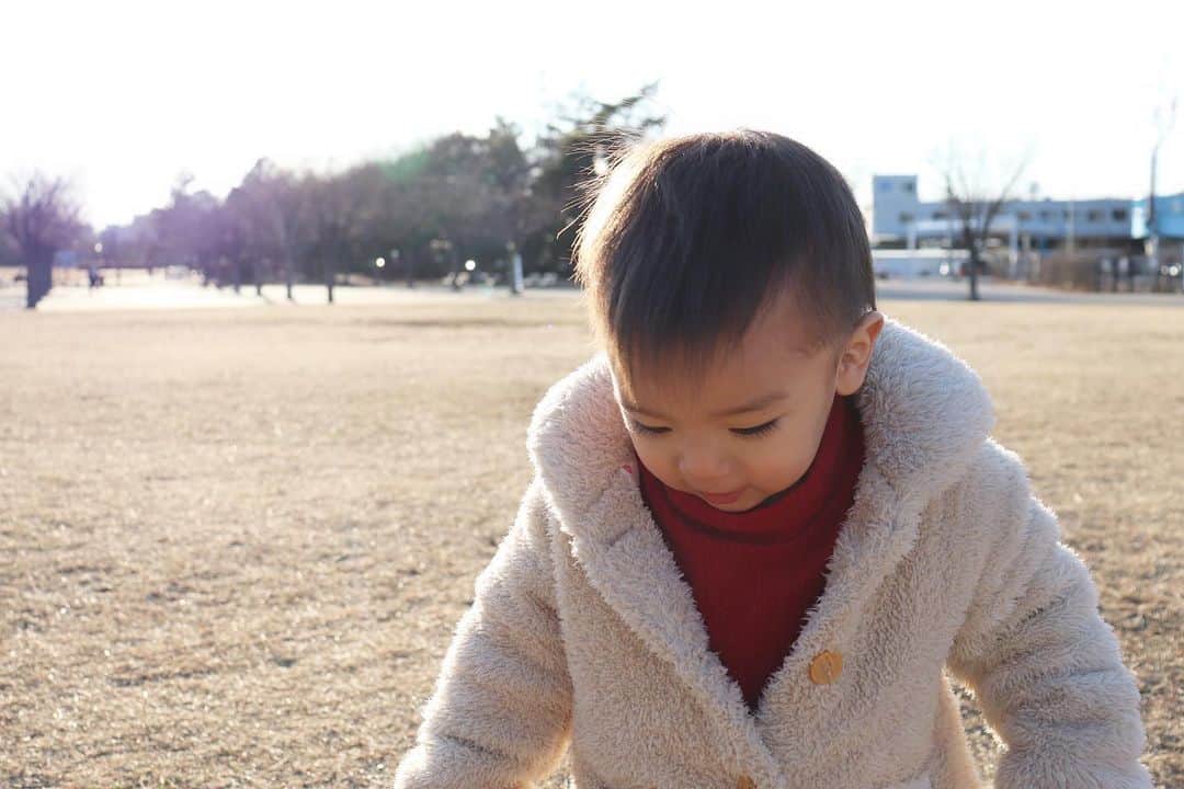 Momoeのインスタグラム：「公園って... 楽しいところなんだな... . .  #happy #家事 #育児 #family #家族 #boy #smile #男の子 #息子 #code #love #lucky #kids #子供 #thankyou #宝物 #ベビー #fashion #follow #パパ #ママ #家族写真 #男の子ママ #1歳 #うさぎ #ネザーランドドワーフ」