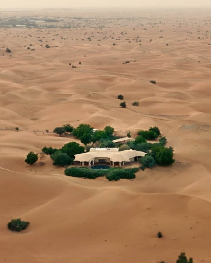 Murad Osmannのインスタグラム：「#FollowMeTo Al Maha Desert Resort @almaha_resort  Our little get-away from Dubai to a stunning oasis! Such a unique experience among the endless desert.  @mydubai #mydubai  #СледуйЗаМной в оазис-заповедник Аль Маха в сердце Аравийской пустыни.  @visitdubai.ru #visitdubai」