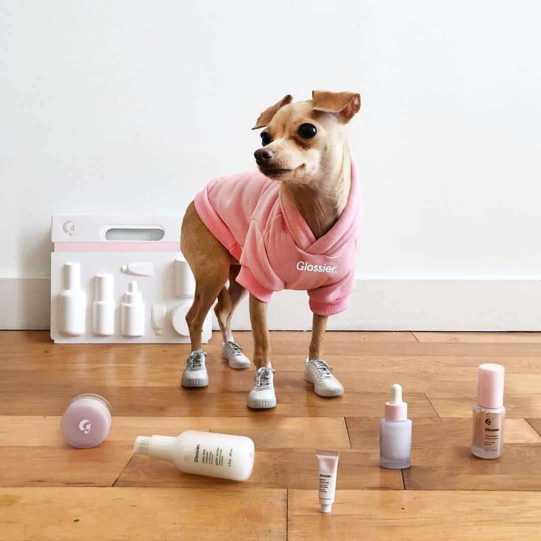 Glossierのインスタグラム：「Don't forget to take a paws + treat yourself 🤍 @boobie_billie with The Skincare Edit 🐶」