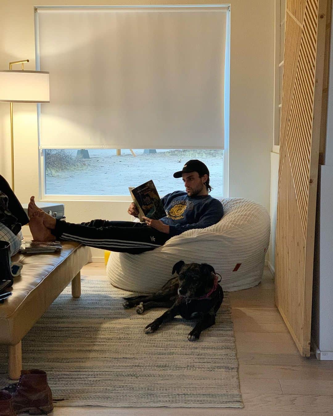 ジャック・ファライーのインスタグラム：「I keep telling Banjo to hurry up and learn how to read and maybe then he won’t be so bored」
