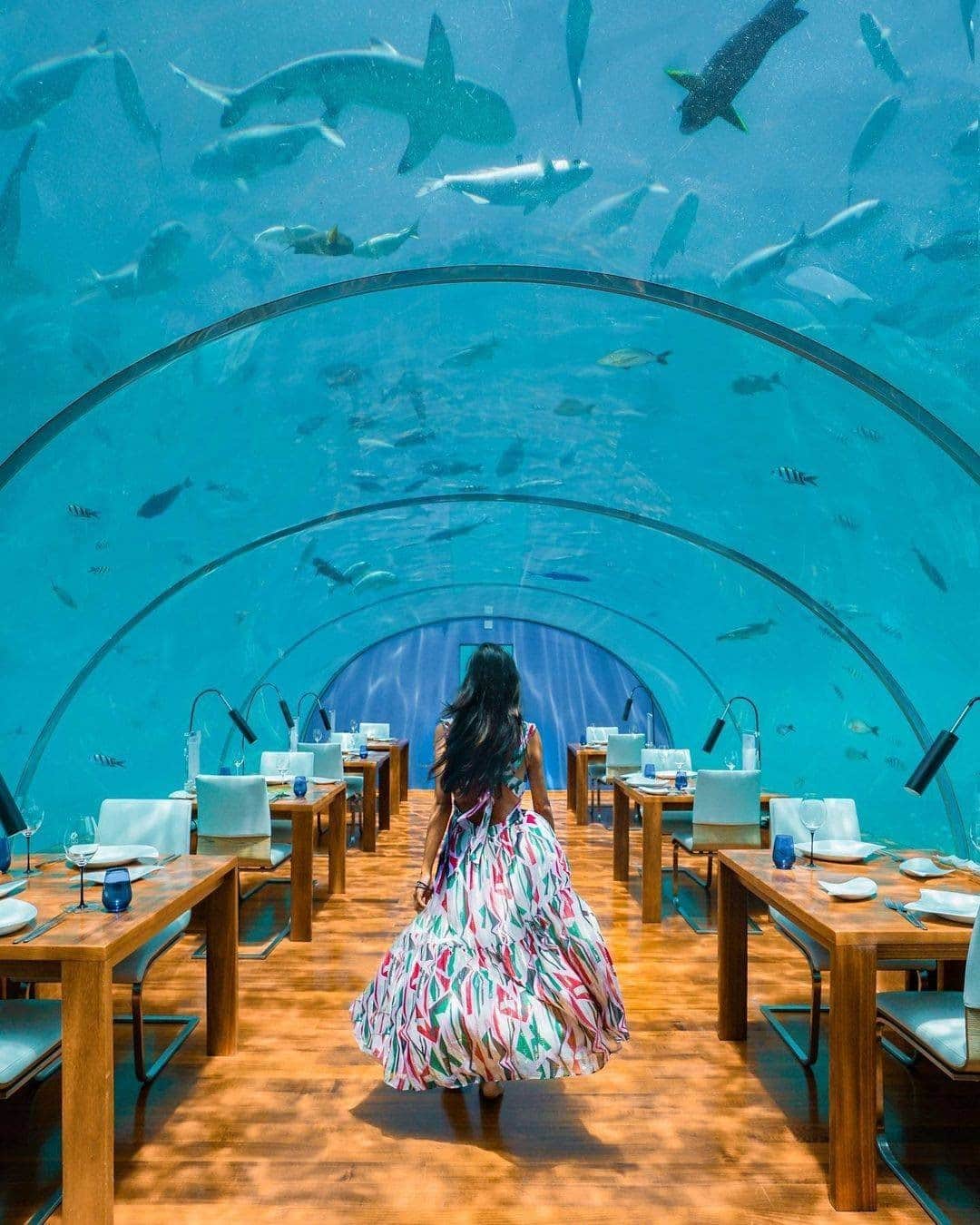 Conrad Hotelsのインスタグラム：「Indulge your palate five meters below the surface at the world's first undersea restaurant at @conrad_maldives. 📸 @michutravel」