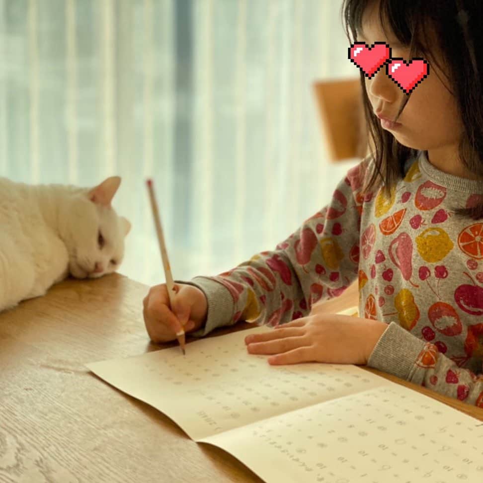 花津ハナヨさんのインスタグラム写真 - (花津ハナヨInstagram)「学童で宿題やってきてと毎日言ってるのだけど、全然やってこない😅 帰宅してからだとやる時間がないのよ〜。 魔美さんの監視の元、朝から宿題。 #1年生　#cat #白猫」2月5日 9時27分 - 872874