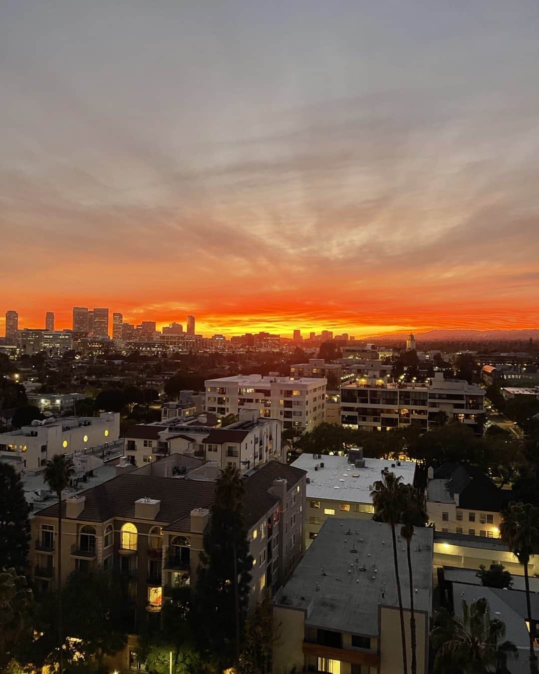 ロージー・オドネルのインスタグラム：「this sky is on fire !!! #la #ca #sunset」