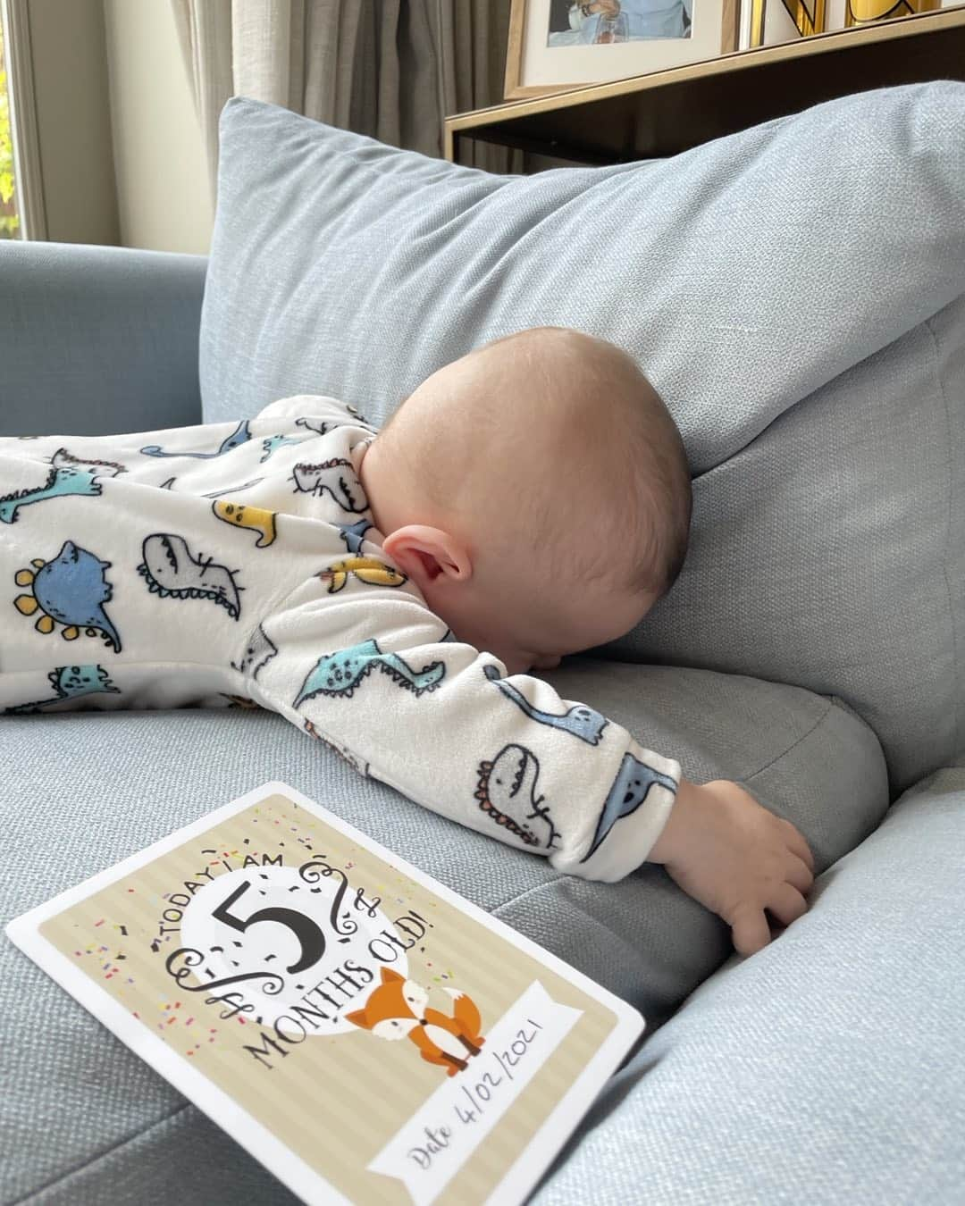 キャメロン・ファンデルバーグさんのインスタグラム写真 - (キャメロン・ファンデルバーグInstagram)「At 5 months old, Harry doesn’t seem to be a breaststroke 🤗」2月5日 4時21分 - cameronvdburgh