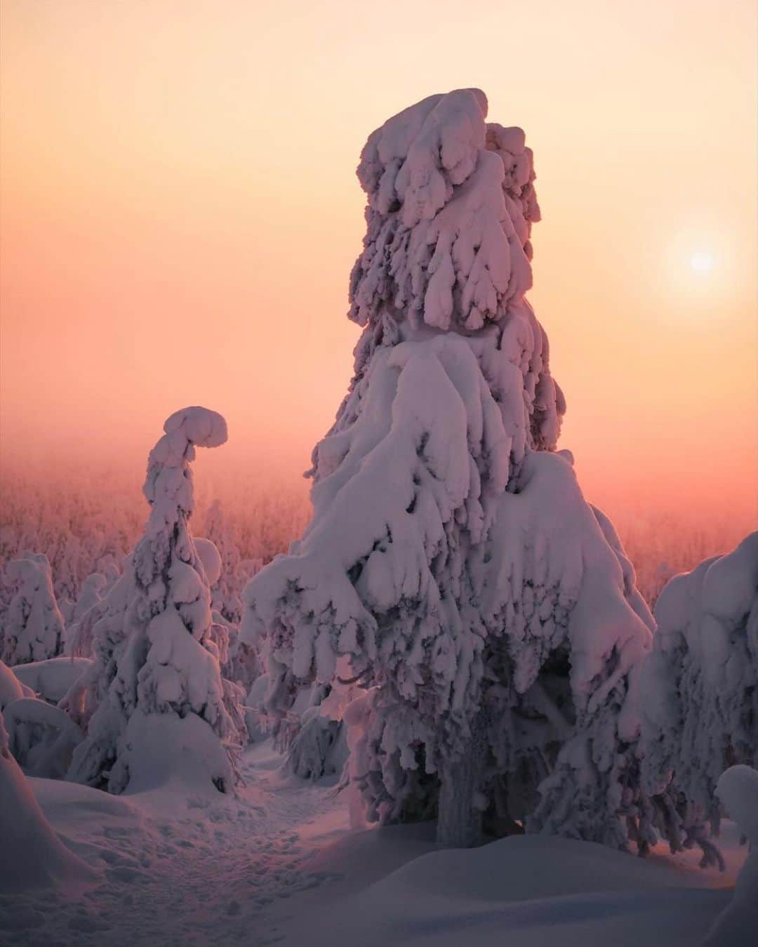 FOLKのインスタグラム：「Golden light favorites for today. 1.) @mikawuf 2.) @espenvalverde 3.) @peter_outdoor_photography 4.) @robinxbenjamin 5.) @prestonbuechler 6.) @ludovicfremondiere」