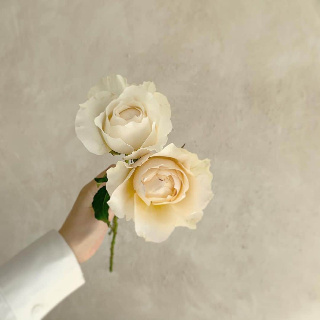 플로리스트 이주연 florist Lee Ju Yeonのインスタグラム