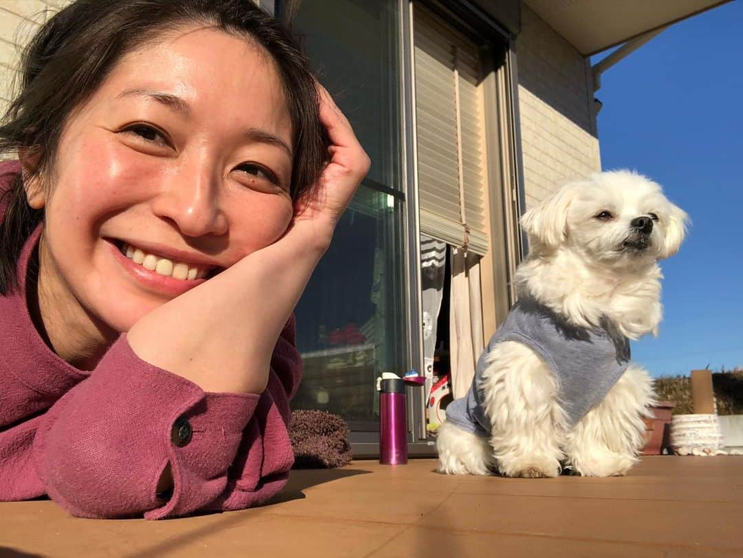 のインスタグラム：「おはようございます☺️ 関東に春一番が吹きました🍃🌸(*´∇｀*) 空気がカラカラ。 わんこが水をよく飲みます🐶🐶 慌てて保湿のシワシワかーさん🙋🏻‍♀️🌞 #春一番#観測史上最速ですって #ハルいちばん#チワマル #ハナもいちばん#チワワ #いぬばか部 #いぬすたぐらむ #chihuahua #maltese #mixdog#doglover #dogstagram #犬のいる暮らし #千葉暮らし#田舎暮らし#縁側#日向ぼっこ 今日も良い一日を〜＼(^ω^)／🍀😷」
