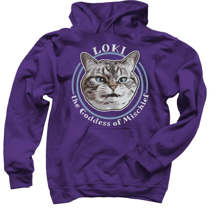 Lokiさんのインスタグラム写真 - (LokiInstagram)「Only 11 days left to snag some loki apparel! Swipe to see different styles and follow link in bio to check it out! https://www.bonfire.com/loki-the-kitteh/ #cats」2月5日 6時36分 - loki_kitteh