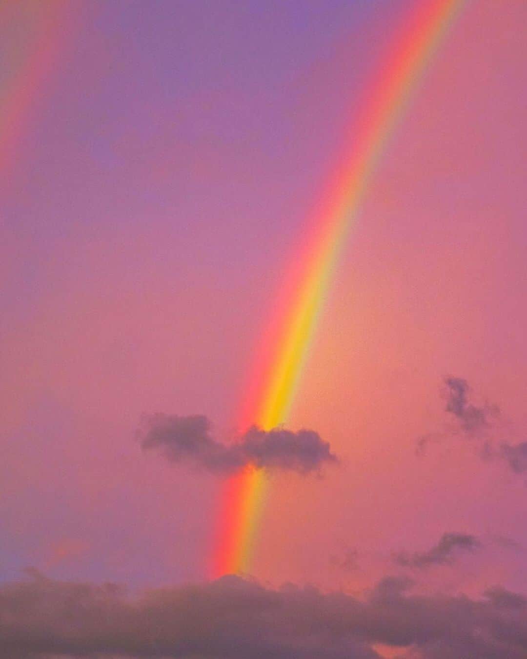 ダニジョーのインスタグラム：「Sending you pink skies & rainbow vibes 🌈💕 photo via @hello_dongwon 💕」