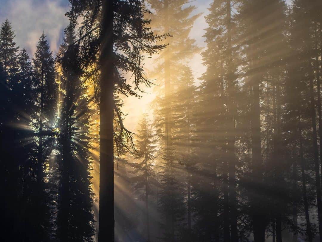 Ricoh Imagingのインスタグラム：「A dreamy image of Yellowstone National Park captures by @frankleeruggles with the #pentax645z」