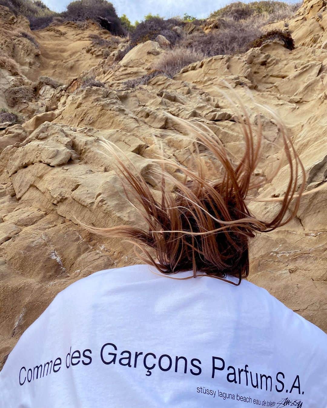 Stüssyのインスタグラム：「Stüssy Laguna Beach Tee, available at select Dover Street Market locations and stussy.com on Friday February 5th at 10am pst.」