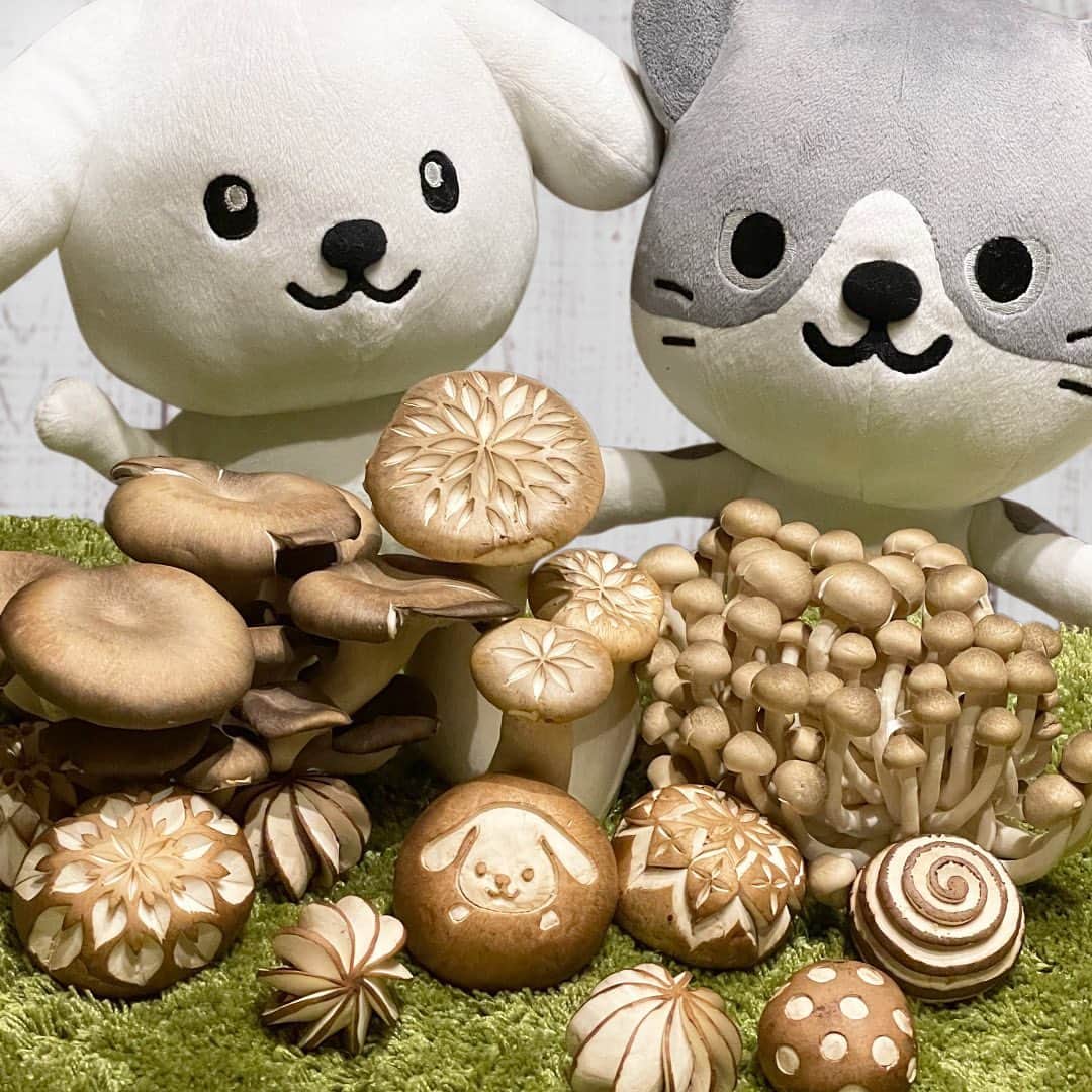 ダスキン ダス犬【公式】のインスタグラム：「【アートdeダス犬♪ハンドクラフト企画】 フルーツや野菜だけじゃなくて、きのこにもカービングはできるんだって！ というわけで、@mayumi_ninomiya_carving さんが ダス犬をきのこの森に誘ってくれたよ！ 表面がしっかりしているので、実はカーヴィング初心者の方にはオススメなんだとか ...！  #きのこでカービング #ダス犬のおうちじかん  カービング監修 @mayumi_ninomiya_carving」