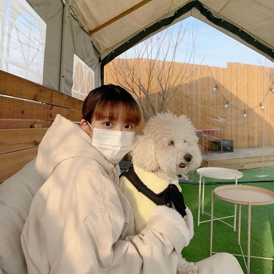 キム・ダヘのインスタグラム：「오랜만에 넓은 운동장에서 한시간 후다닥 뛰놀고 집으로 🐶🌈」
