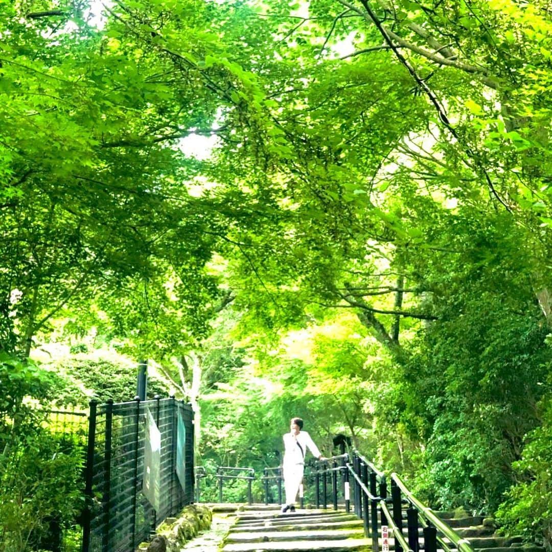 谷本貴義のインスタグラム：「いつ再開できるのか！  #タニー探検隊♪ #宮島」