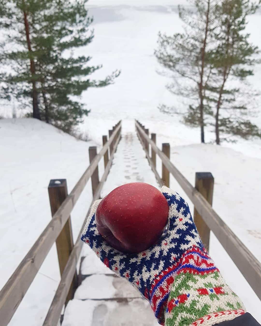 ティネスのインスタグラム：「It's safe to take this apple 🍎 Order gorgeous Latvian mittens online! We ship worldwide 🌍✈  Different designs and patterns for every taste and need. We also have thick lined mittens and felted wool ones.  WWW.TINES.LV WORLDWIDE SHIPPING」